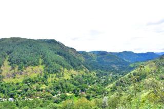 Ella Sisilasa Holiday Bungalow - 4