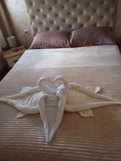 Apartment Aleksandrija - Niš - 2