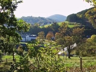 Ferienwohnungen Demberg - Schmallenberg - 4