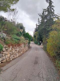 Nature - 5