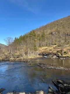 Cozy cabin in Eikedalen - 9