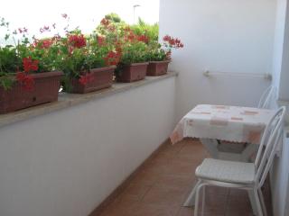Apartment IDA - Rovinj - 1