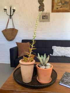 Le Florival - Tulbagh - 0