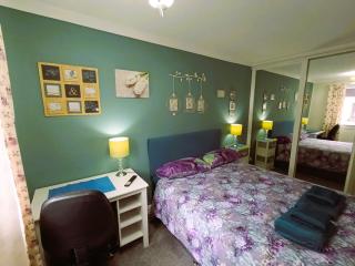 Double room in riverside apartment - B - Glasgow - 7