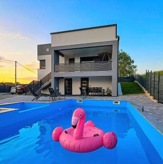 Villa Vienna - Bužim - 7