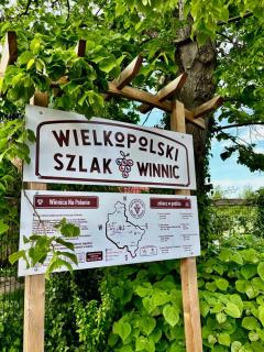 Apartamenty i Winnica - Siedlisko Na Polanie - - 1