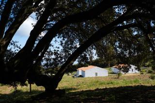 Agriturismo Cultisia Luogosanto - 1