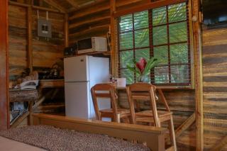 Cozy Treehouse - Saint Ann's Bay, Jamaica Adventure - 4