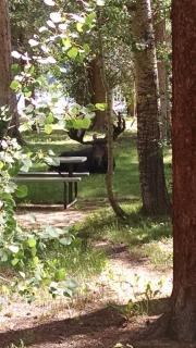 Bluejay bunkhouse - 0