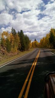 Bluejay bunkhouse - 3