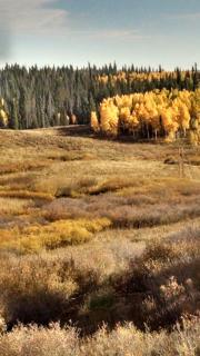 Bluejay bunkhouse - 1