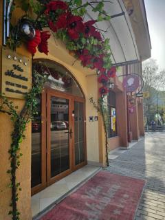 Vila Nicoleta - Băile Olăneşti - 8