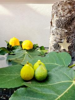Room in the Green - Palinuro - 2