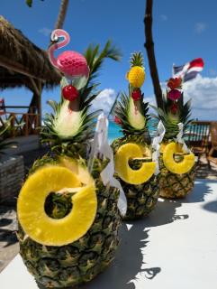 Dios es Fiel - Ali Hotel - 6