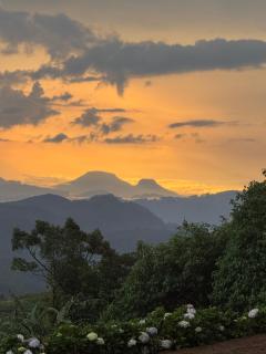 Skyridge Highland - Nuwara Eliya - 7