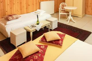 Aithra Boutique Hotel - Tsivlós - 2