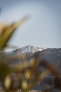 Gruberhof - NEW! - Vollan - 8