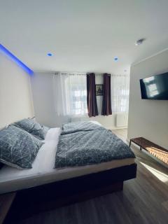 Charmantes Zimmer mit Parkplatz & Restaurant - Chemnitz - 6