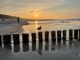 Boddenblick - Zingst - 2
