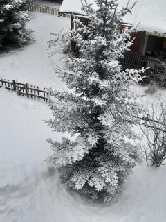 Serre Chevalier Appart 4 p 1er étage Aiglon Nord - La Salle-les-Alpes - 9