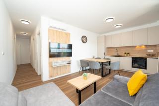 Luxury apartments Noa - Novalja - 7