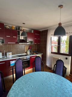 Vila Bojana - Gornji Milanovac - 3