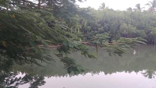 SeaSide HOME-Stay Airport Shuttle - Korotogo - 9