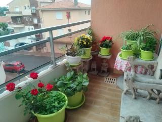 Studio Boulouris Saint Raphael - Saint-Raphaël - 6