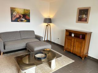 Proche Lyon, Craponne centre Bel Apt T3 Terrasse - Craponne - 8