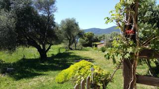 Maison Alba Rossa 56 - Serra-di-Ferro - 7
