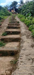 Stream side - Madikeri - 7