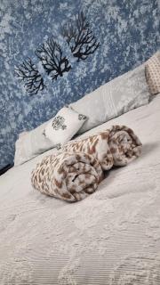 Estudio privado en el Centro de Oaxaca - 1