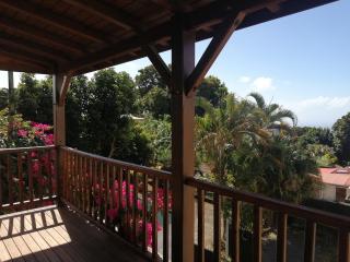 House with small garden and view - Saint-Claude - 2