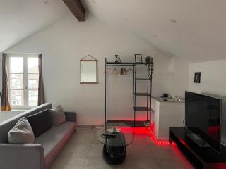 City Apartment Basel BS12 - Basel - 8