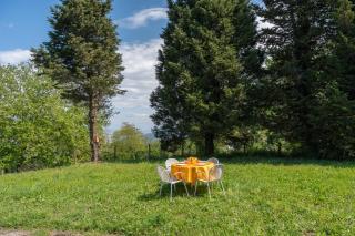 Casa Nonno Pietro - Sorrento Coast - Massa Lubrense - 2