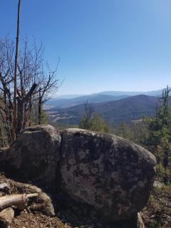 Serenity Forest - Velingrad - 1