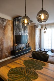 Palace Apartmans - Sremska Mitrovica - 2