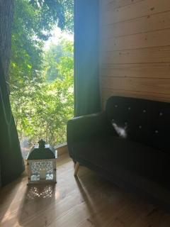 Tiny House - Chimay - 8