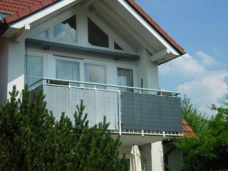 Sünnenkringel - Zingst - 0