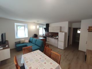 Apartma Moser - Podnanos - 9