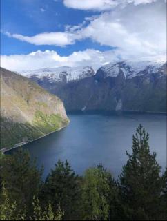 FjordNest Årdalstangen - Årdalstangen - 8