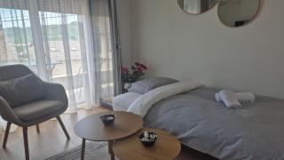Bella Vacanza Apartment - Banja Luka - 8