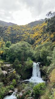 O refugio do Mineiro - Arouca - 9