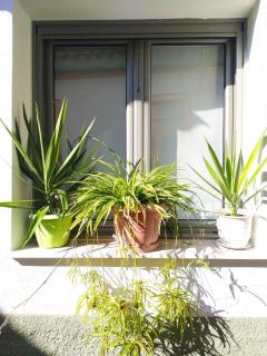 Small home of the Square Σπιτάκι της Πλατείας - 4