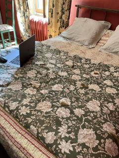 Chambre avec vue - Saignon - 5