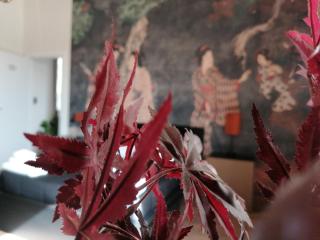 Le Boutique Luxury Rooms diffused in Historic Center - Fiumicino - 9