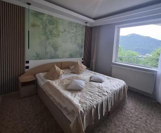 Pensiunea Warthe Bed & Breakfast - Brasov - 8