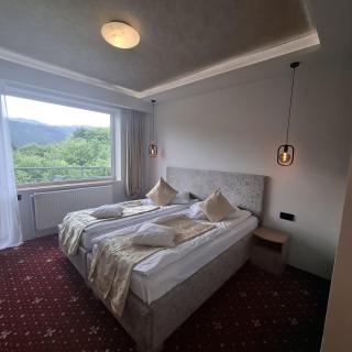 Pensiunea Warthe Bed & Breakfast - Brasov - 6