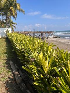 Beachfront house Private beach Pool 6 people - El Zapote - 7