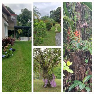 TI-KAZ fleurie, l'escapade bouillonaise - 7